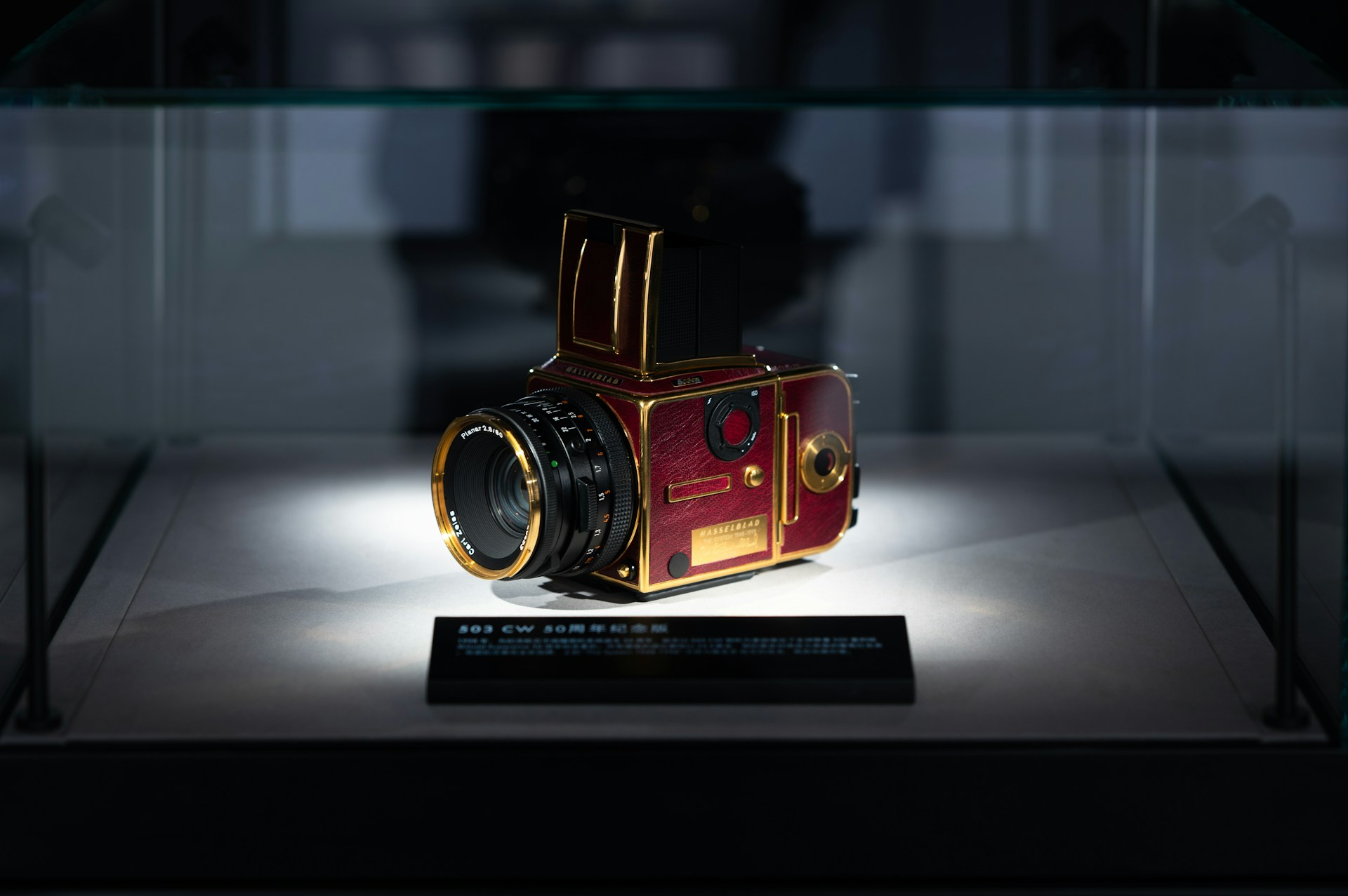 Sony World Photography Awards 2025: Anuncian los ganadores del concurso Open